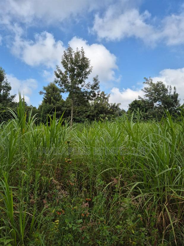 1/2 Acre on Sale Thogoto - thumbnail 7