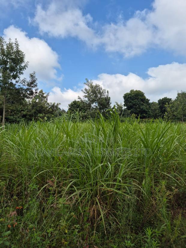 1/2 Acre on Sale Thogoto - thumbnail 8