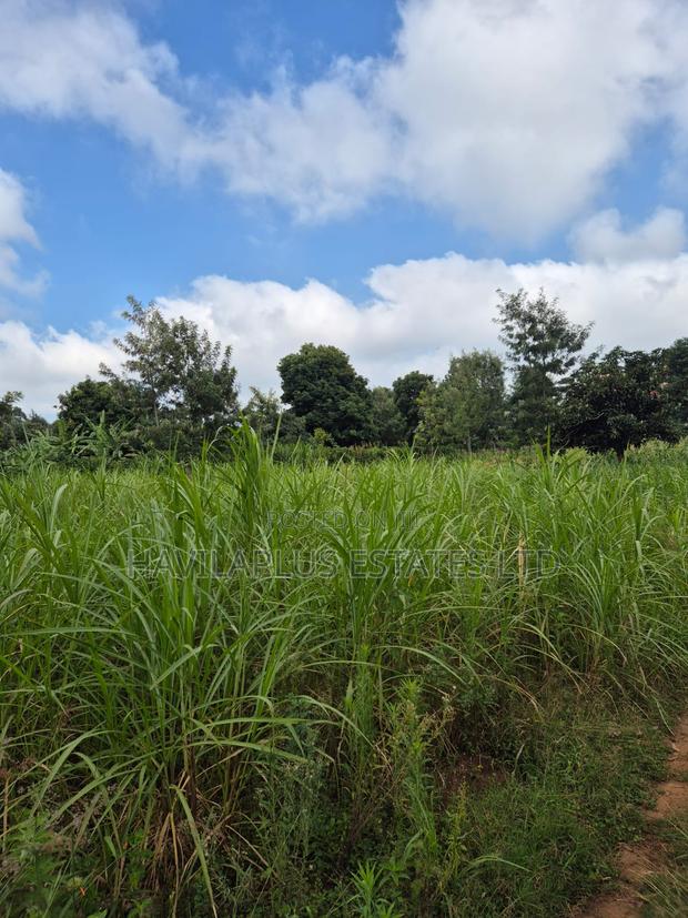 1/2 Acre on Sale Thogoto - thumbnail 9