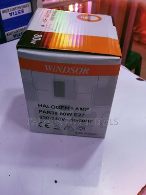 Par 38 Bulbs