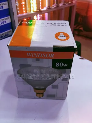 Par 38 Bulbs