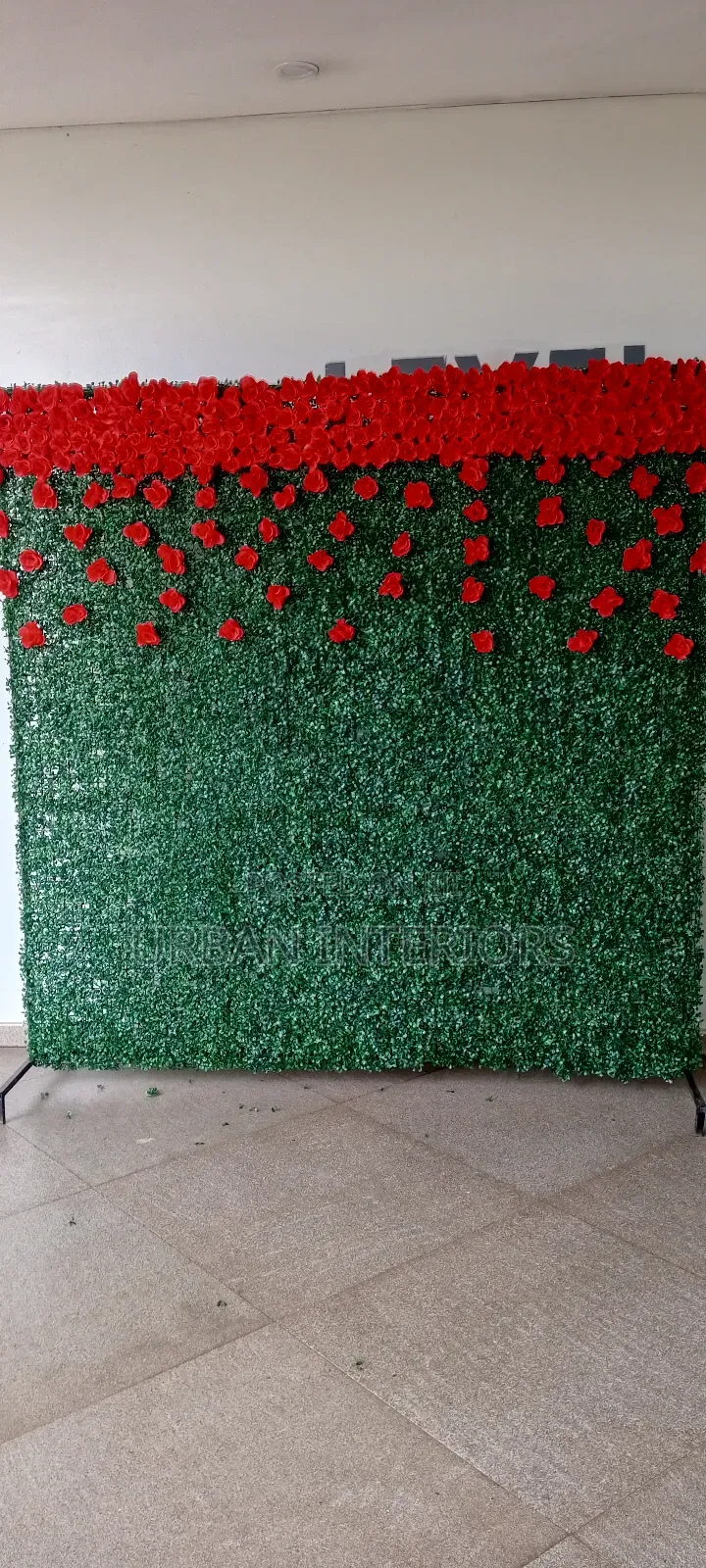 Green Studio Backdrops Studio Backdrops