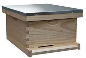 Nature’S Buzz Hive
