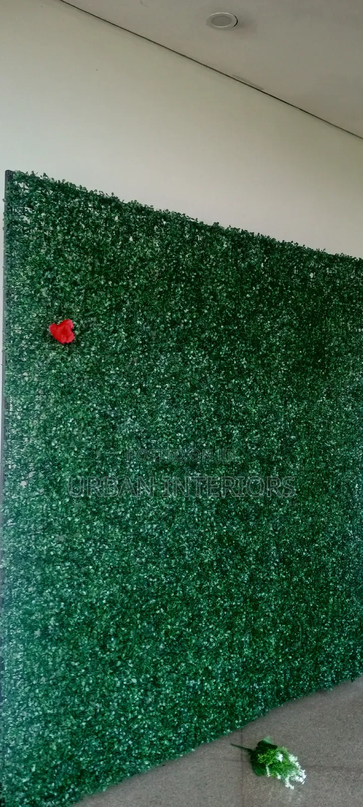 Green Wall Decor Green Wall Decor With a Touch of Red