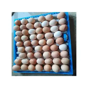 64eggs Fully Automatic Incubator 
Ac/Dc
 Available