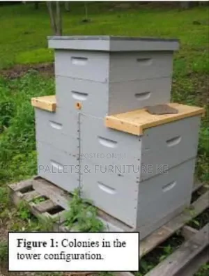Hive Craft Pine