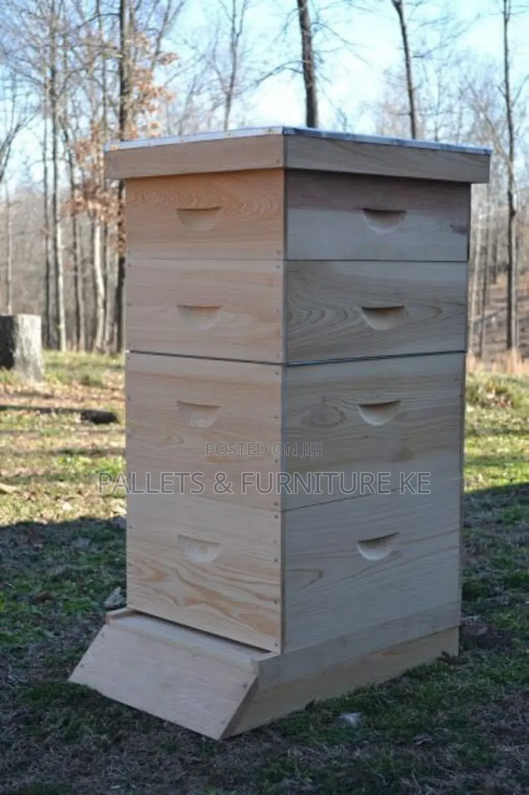 Affordable Beekeeping Hive