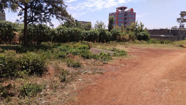 Kimbo, 40x60 Commercial Plots. - thumbnail 3