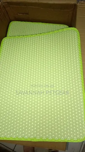 Honeycomb Cat Litter Mat Double Layer Cat Litter Pad(40*50cm