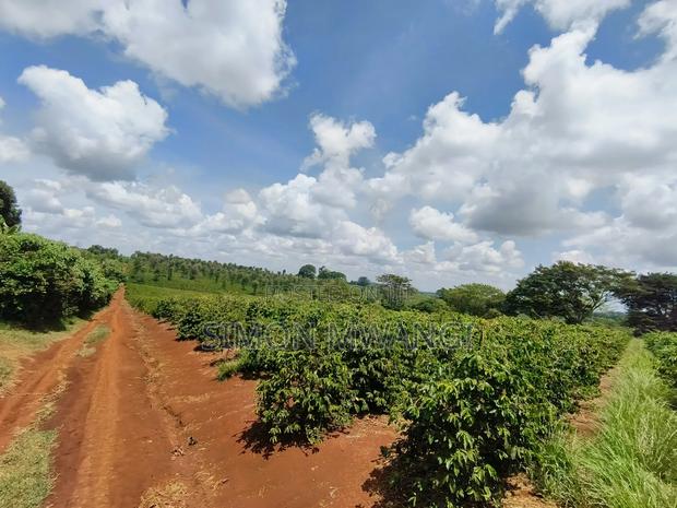 546acres Coffee Farm on Sale at Ruiru Kiambu at 20M Per Acre
