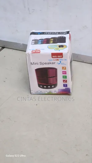 WS-887 Mini Speaker