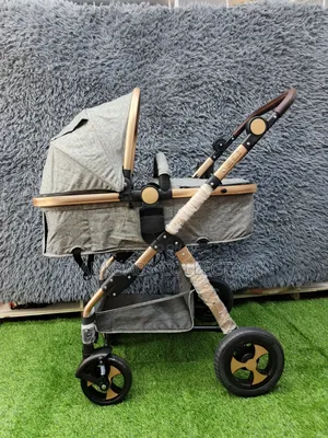 2-in-1 Baby Stroller