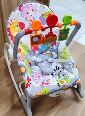Infant to Toddler Baby Rocker.