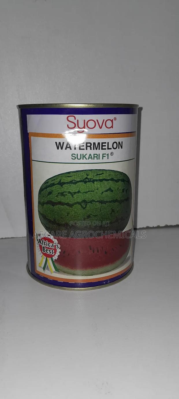 Watermelon Seeds Sukari F1 250 Grams - thumbnail 5