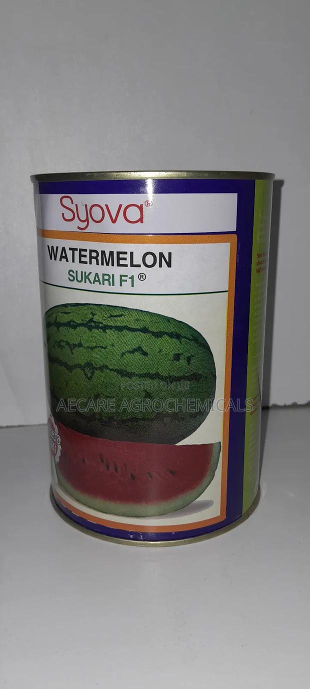 Watermelon Seeds Sukari F1 250 Grams - thumbnail 6