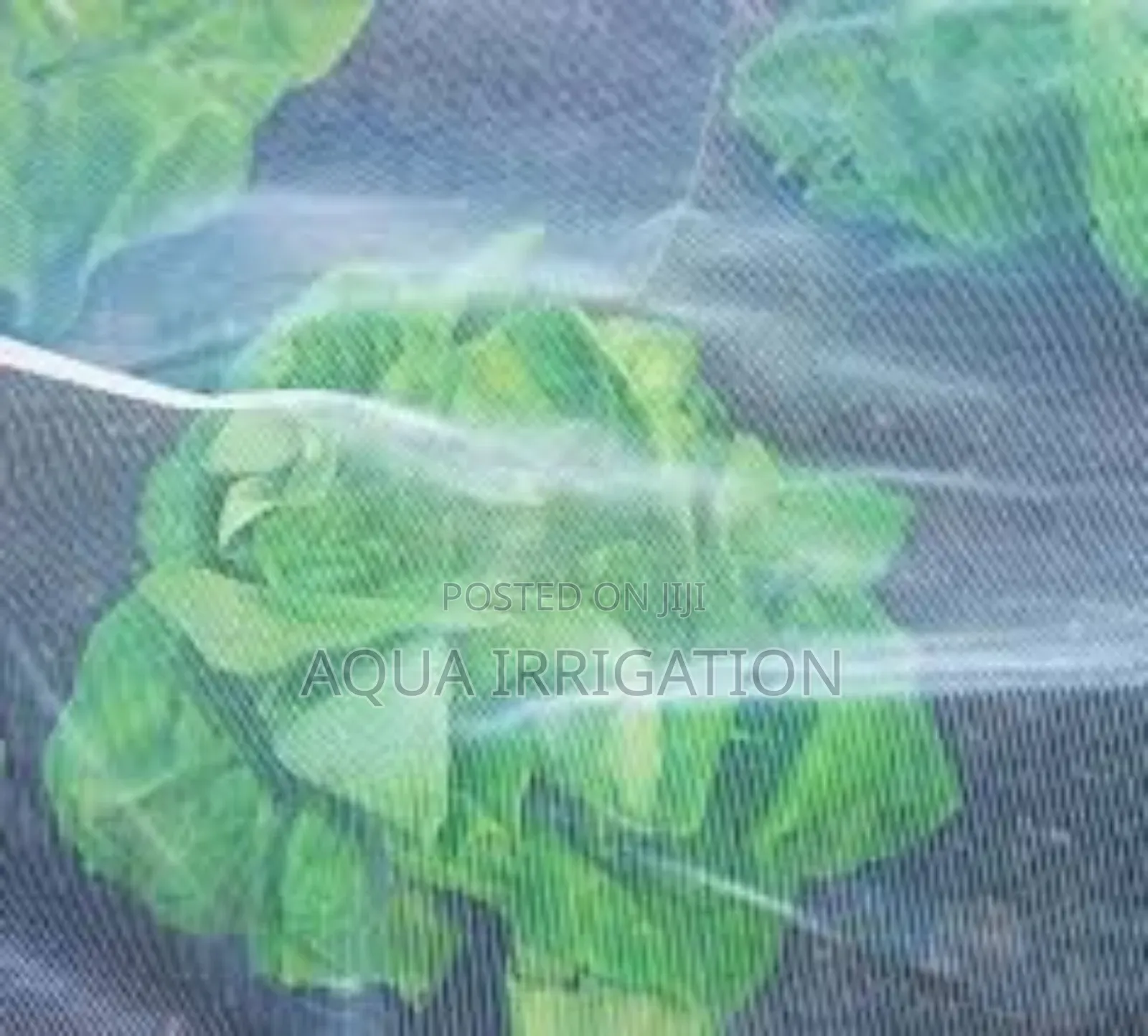 Superior Insect Netting for Unmatched Safety!
