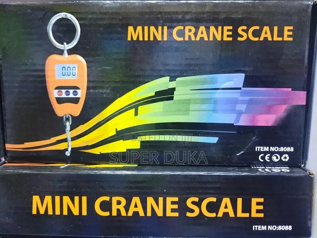 200 Kg Crane Scale - main view