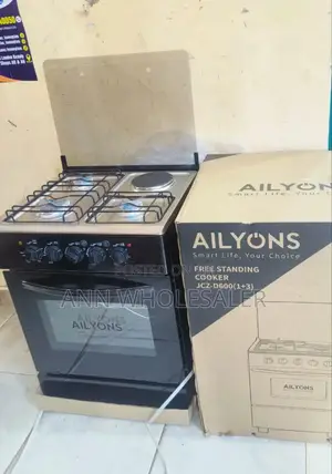 With Warranty 60*60 Ailyons 3+1 Standing Cooker R-5