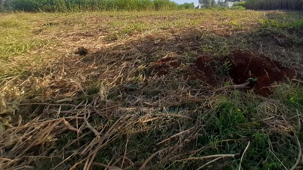 Plots for Sale in Githunguri Town 400m Ruiru Githunguri Road