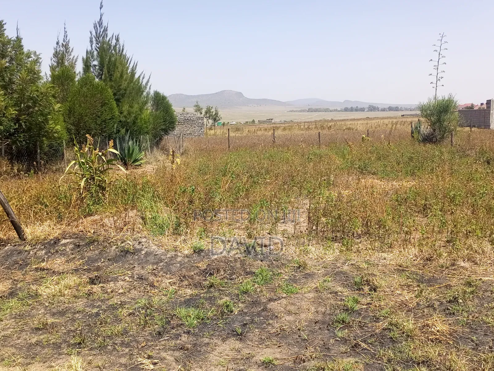 Plot for Sale in Mwariki C