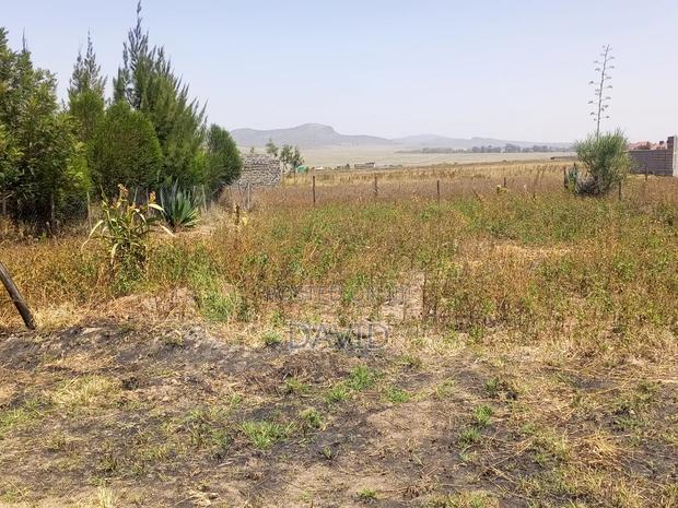 Plot for Sale in Mwariki C - thumbnail 3