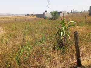 Plot for Sale in Mwariki C