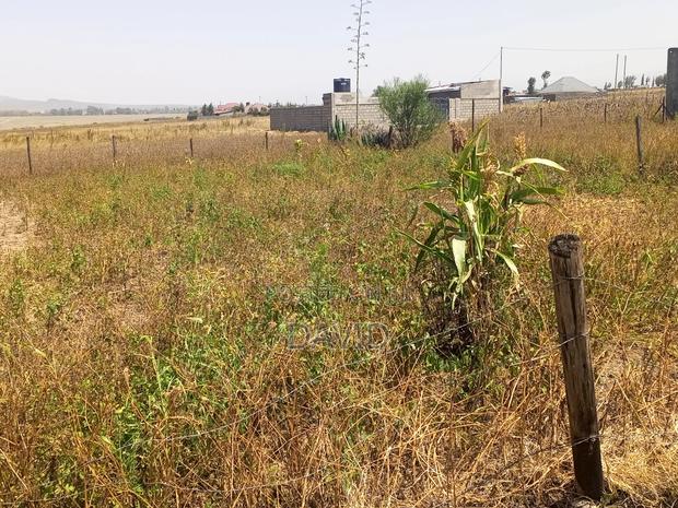 Plot for Sale in Mwariki C