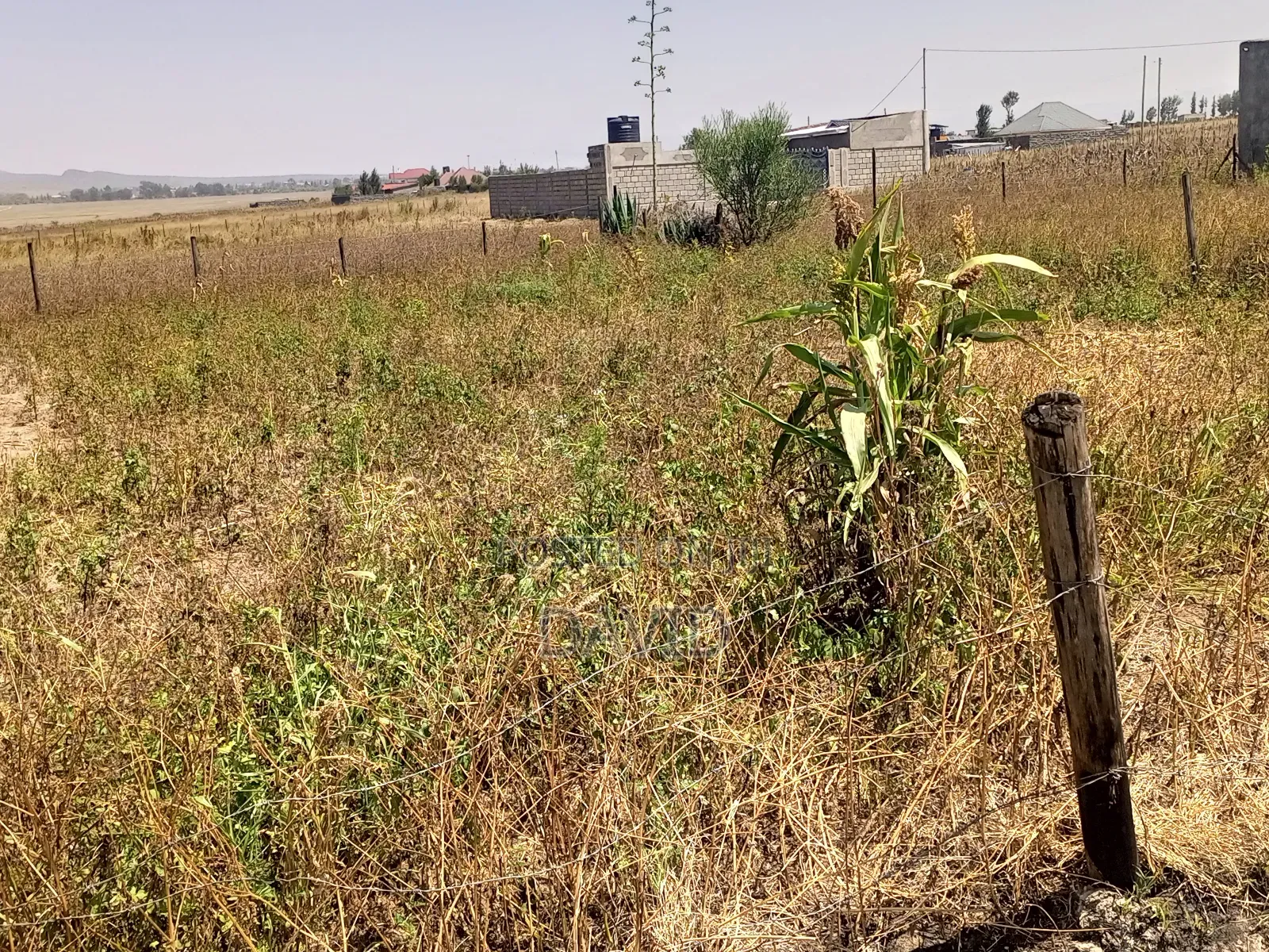 Plot for Sale in Mwariki C