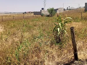 Plot for Sale in Mwariki C