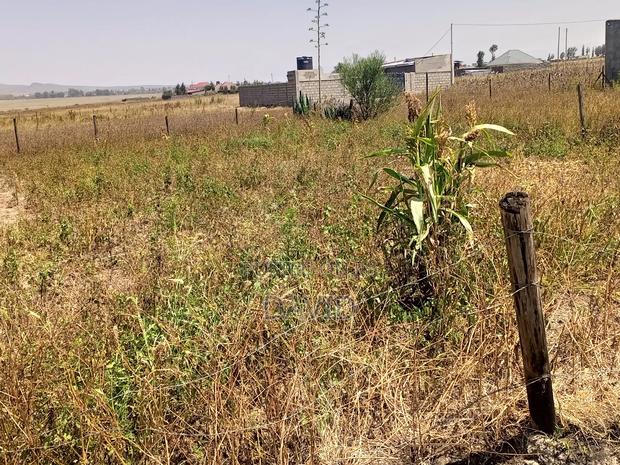 Plot for Sale in Mwariki C - thumbnail 4