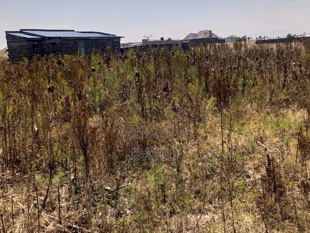 Plot for Sale in Mwariki C - thumbnail 6