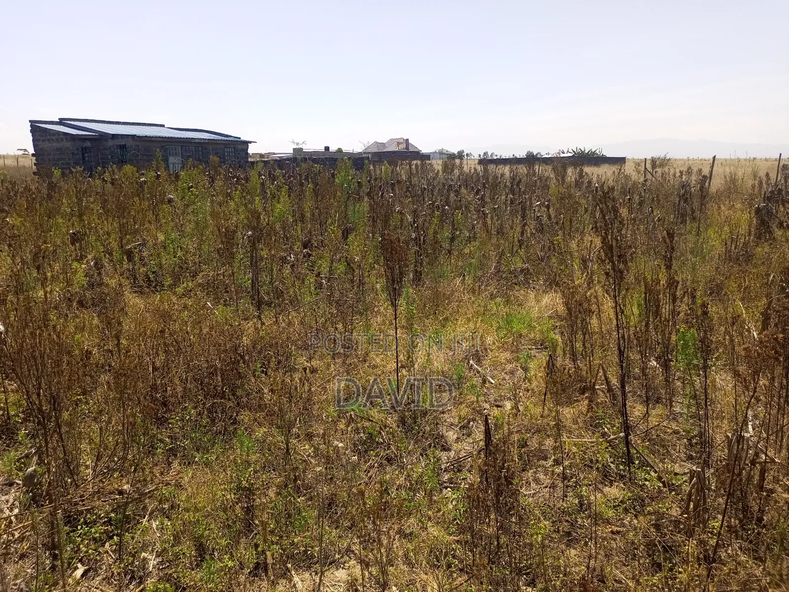Plot for Sale in Mwariki C