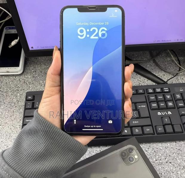 Apple iPhone 11 Pro Max 256 GB Gray - main view