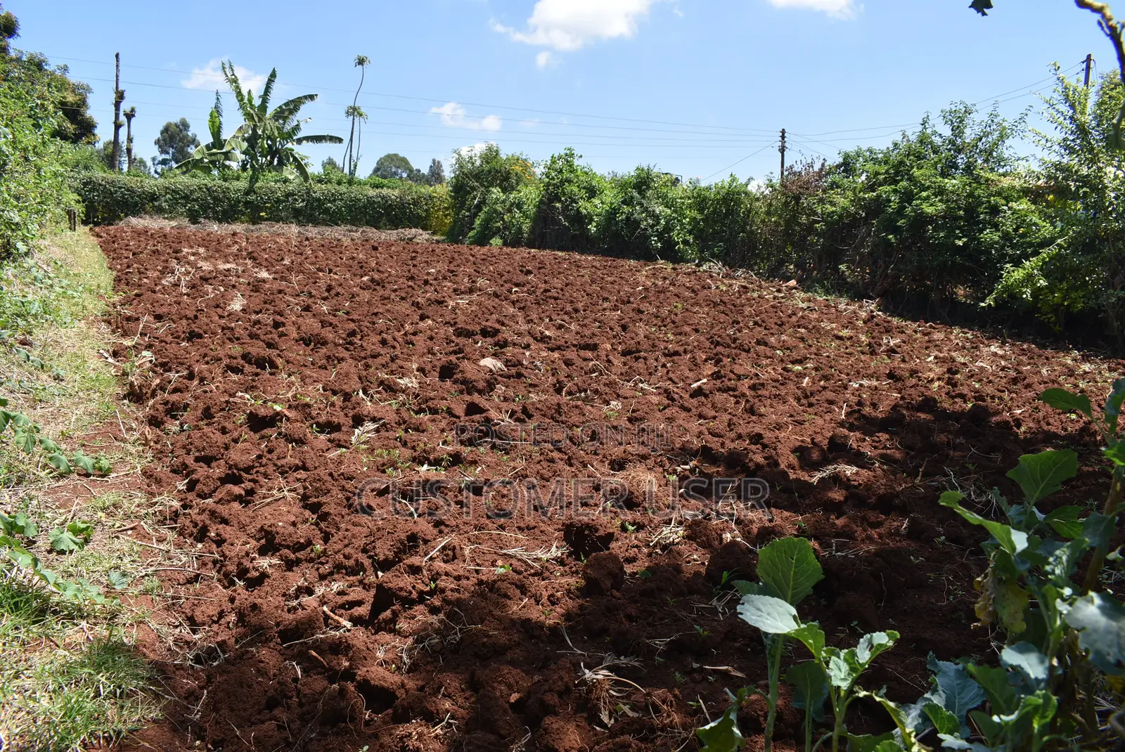 1/4 Acre Plot for Sale