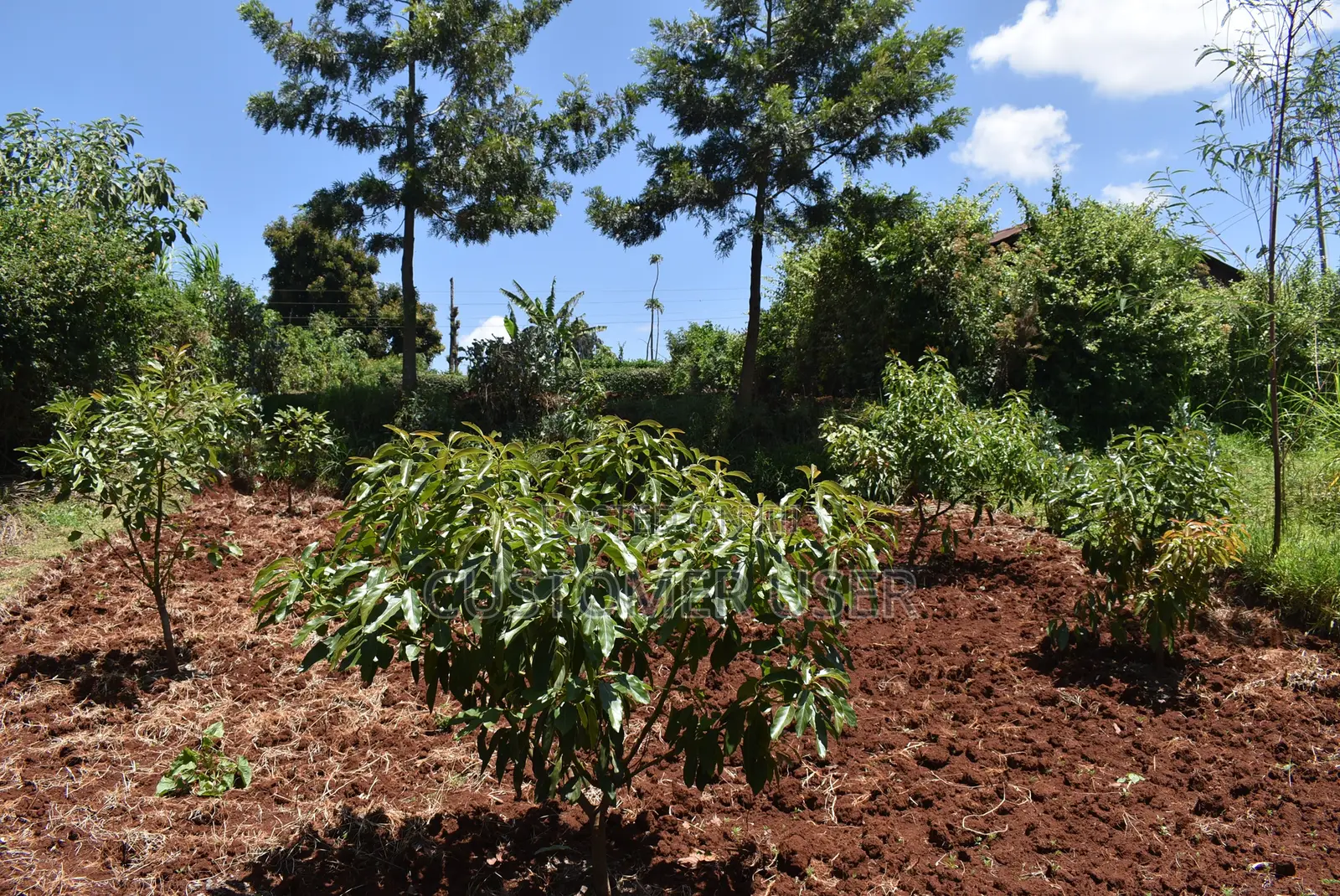 1/4 Acre Plot for Sale