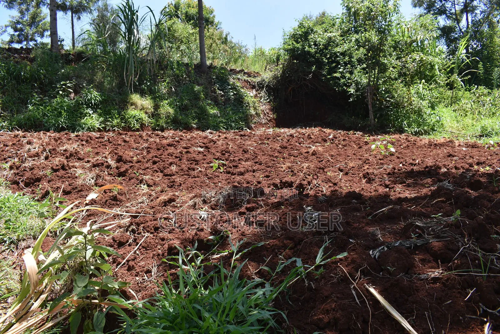 1/4 Acre Plot for Sale