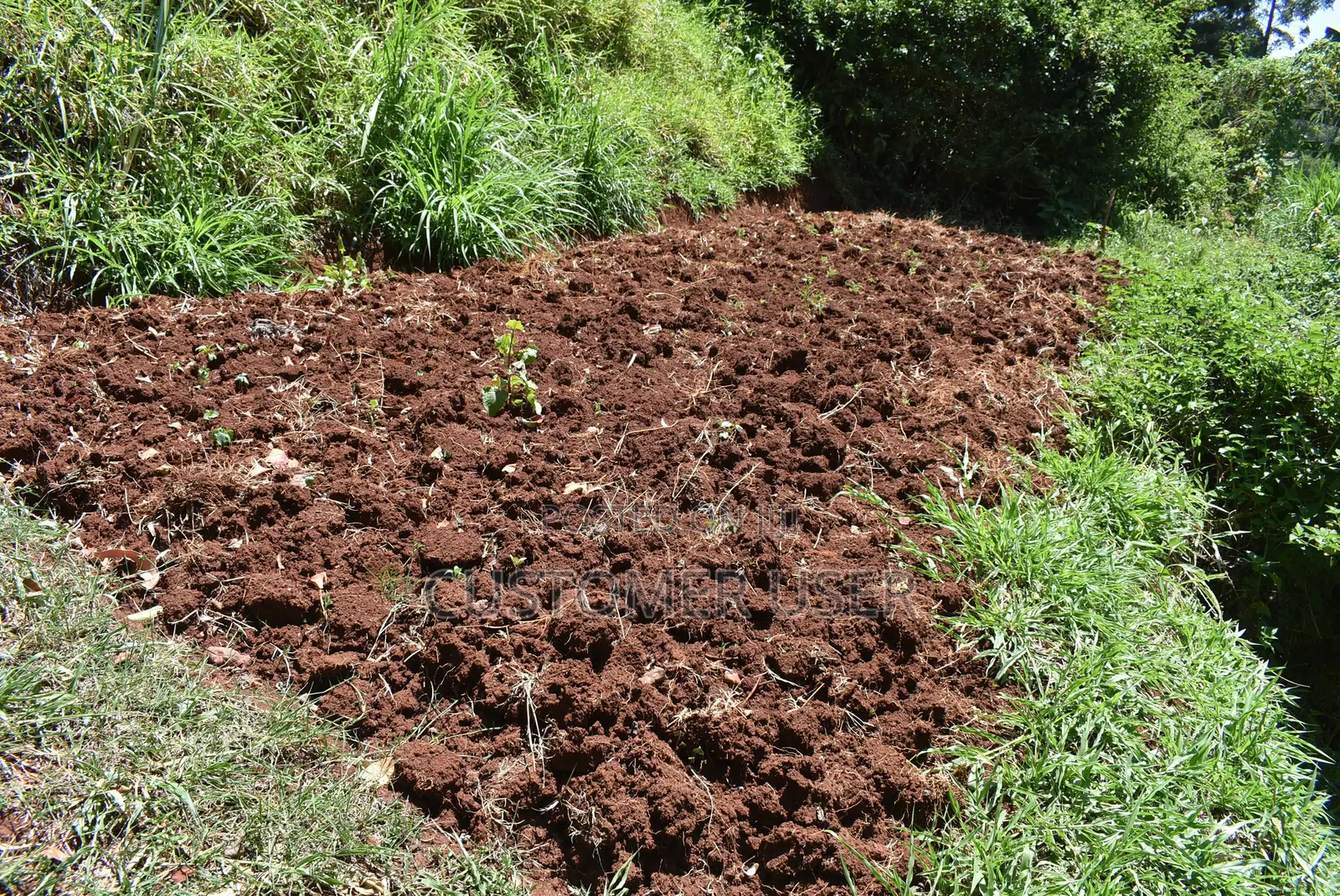 1/4 Acre Plot for Sale