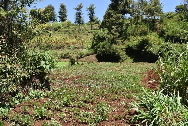 1/4 Acre Plot for Sale - thumbnail 10