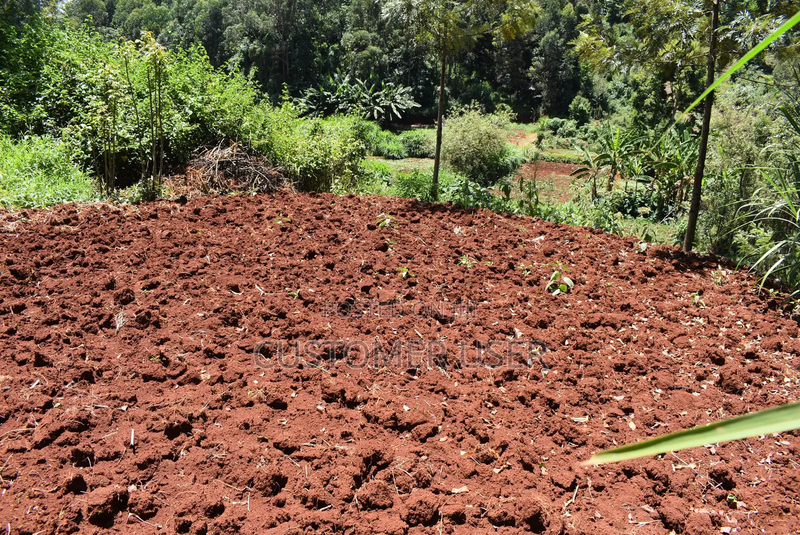 1/4 Acre Plot for Sale
