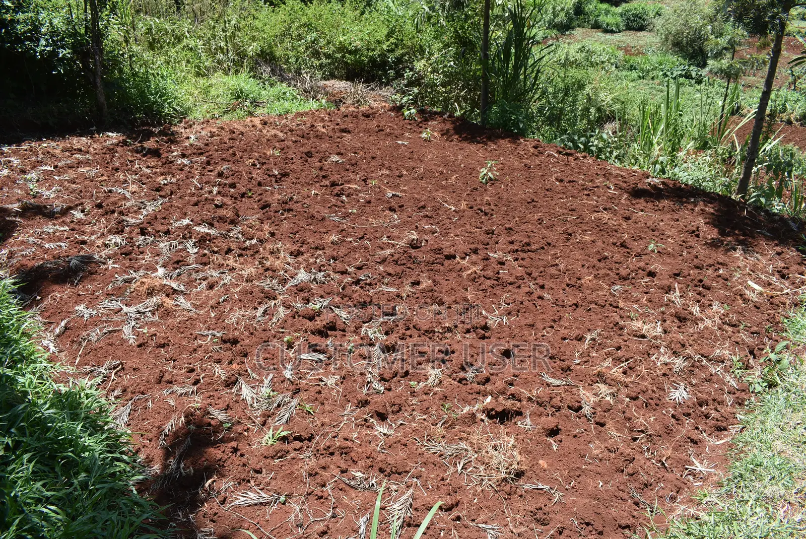 1/4 Acre Plot for Sale