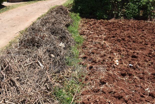 1/4 Acre Plot for Sale - thumbnail 15