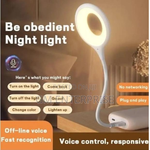 USB Connection Desk Lamp With Voice Command Control