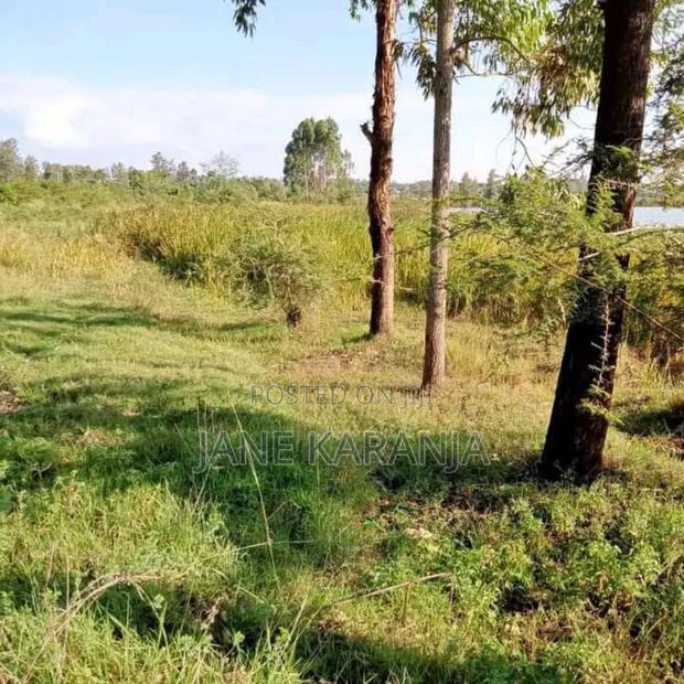 50 by 100 Quick Sale Plot at Kabati Methi Shopping Center