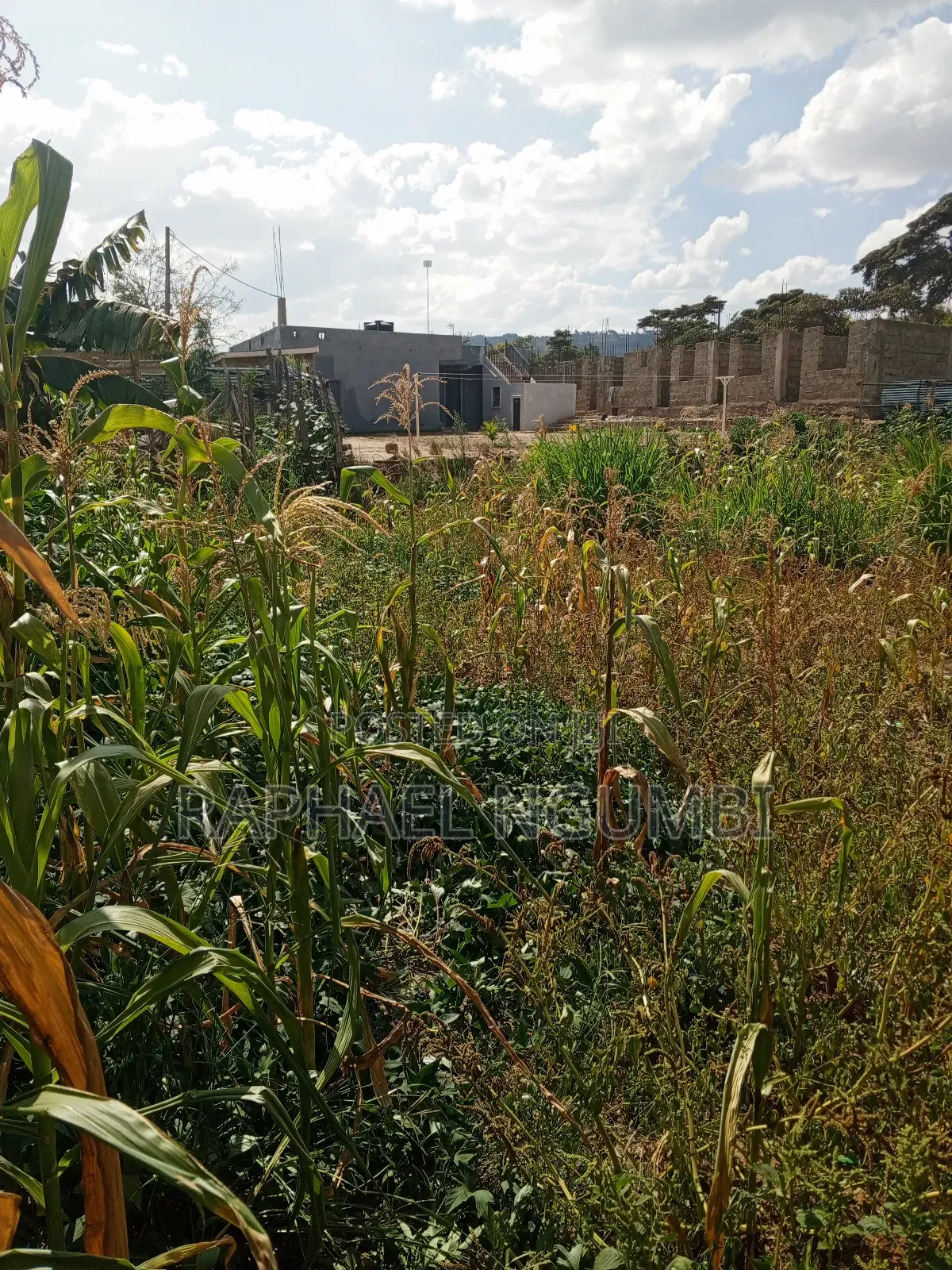 Machakos Canaan/Katethya Plot