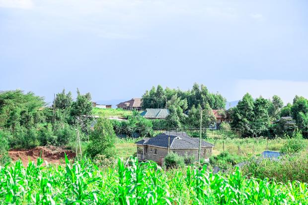 Prime Residential Plot for Sale in Kikuyu, Kamangu - thumbnail 6