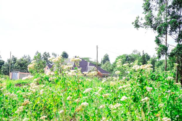 Prime Residential Plot for Sale in Kikuyu, Kamangu - thumbnail 7