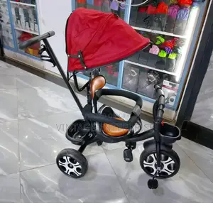 Push Tricycle With Canopy