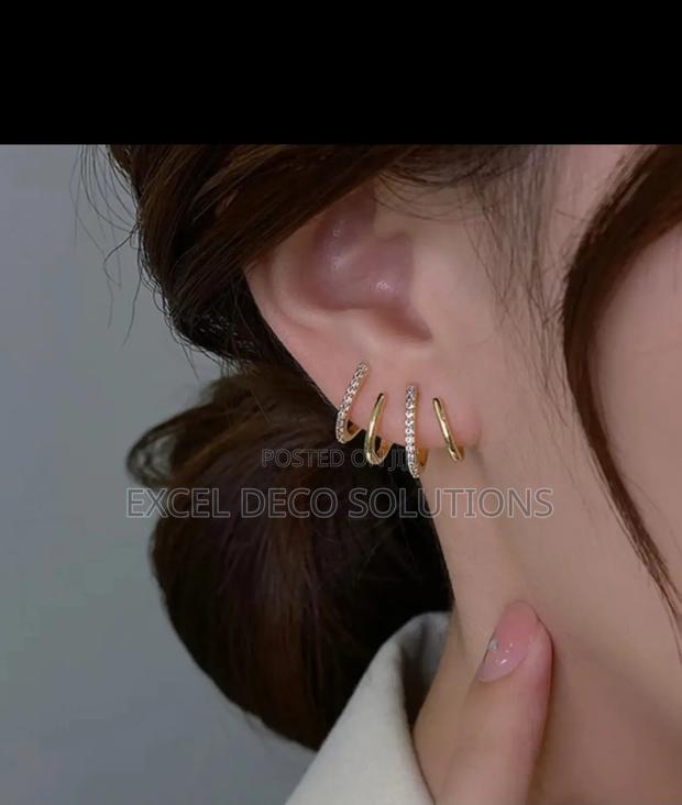 Shinny Earrings - main view