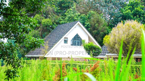 Prime Commercial Plot for Sale in Kikuyu, Thogoto - thumbnail 8