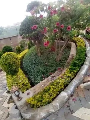 The Art and Craft of Growing Plants